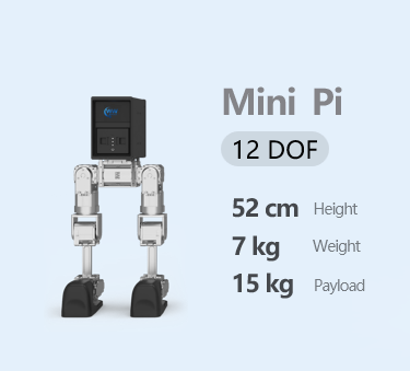 Mini Pi